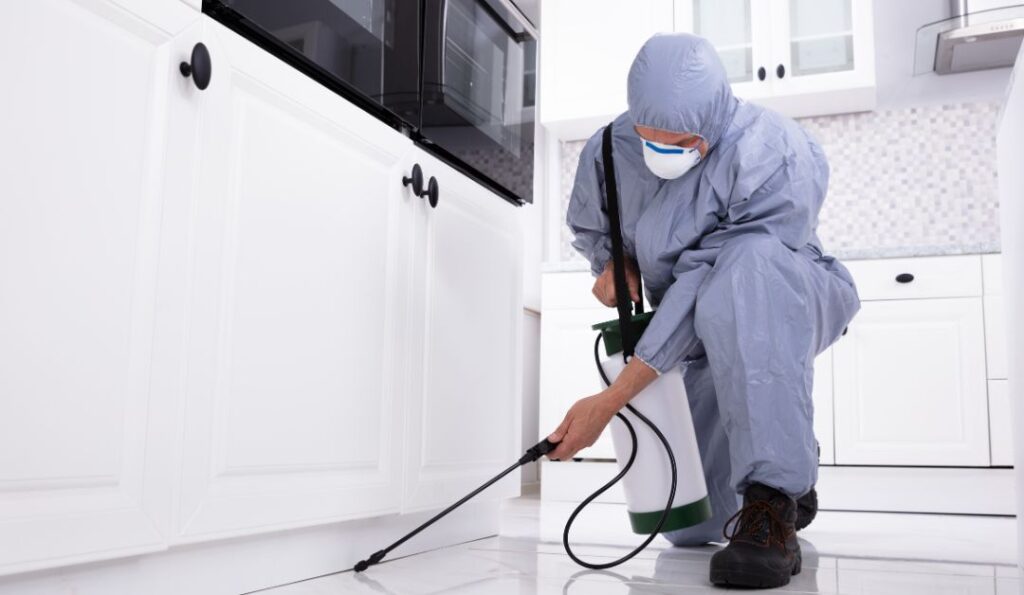 How Does Pest Control Spray Work: The Silent Warriors