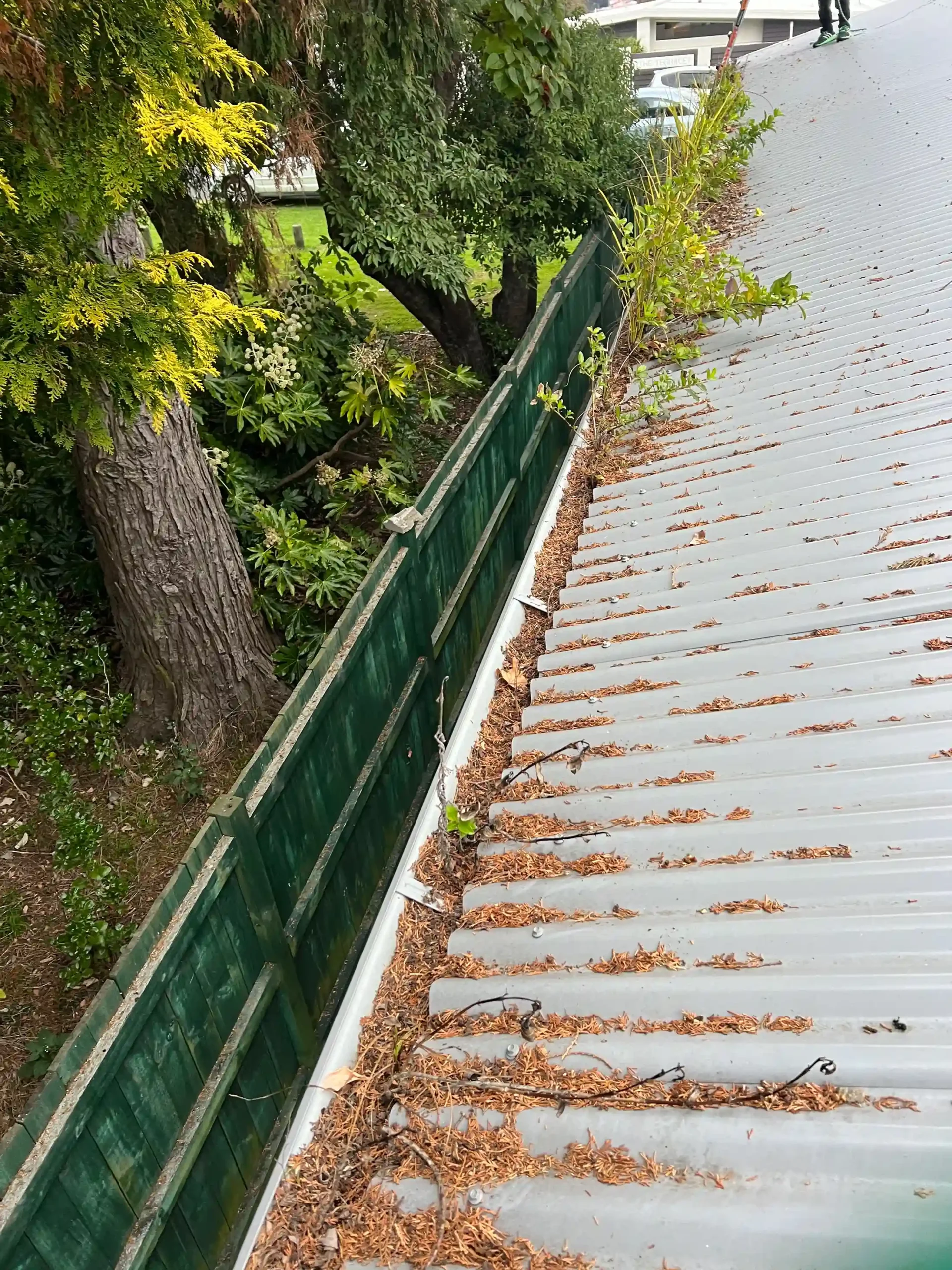 DIY vs Professional Gutter Cleaning