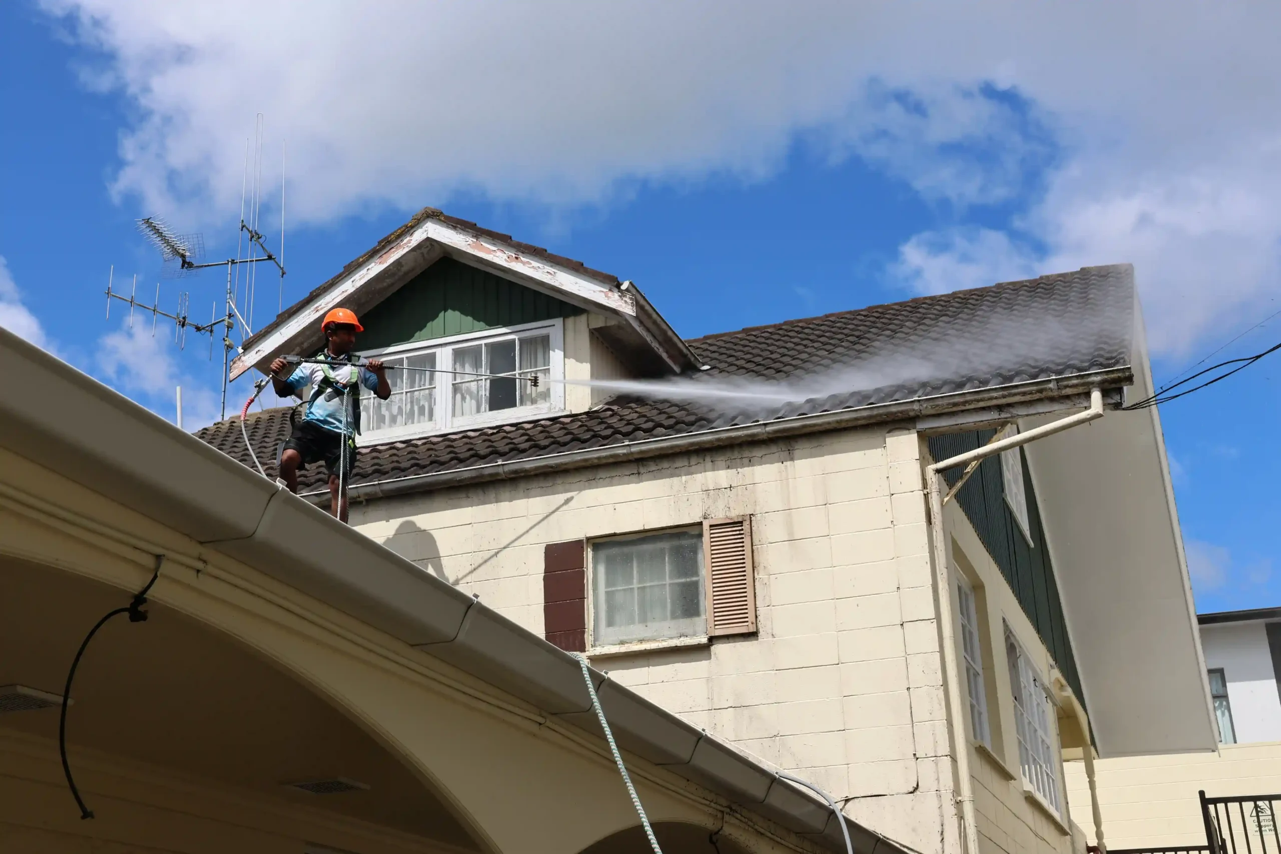 Roof Wash & Moss/Mould Treatment