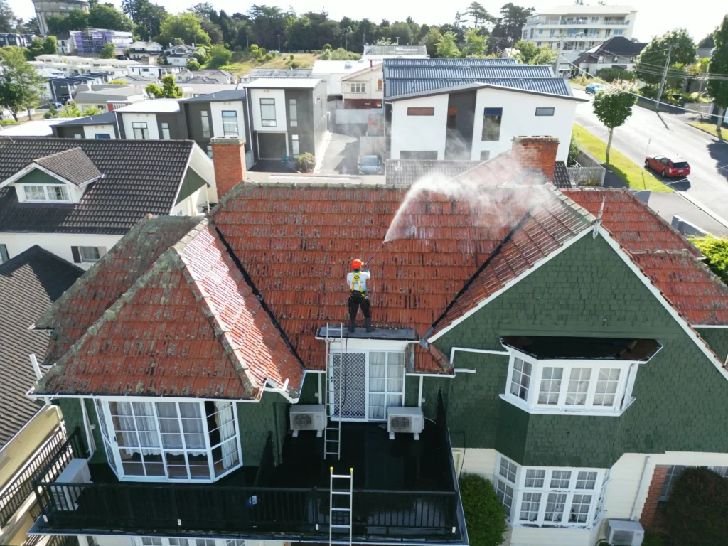 Roof Wash & Moss/Mould Treatment