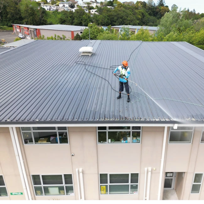 Roof Wash & Moss Treatment