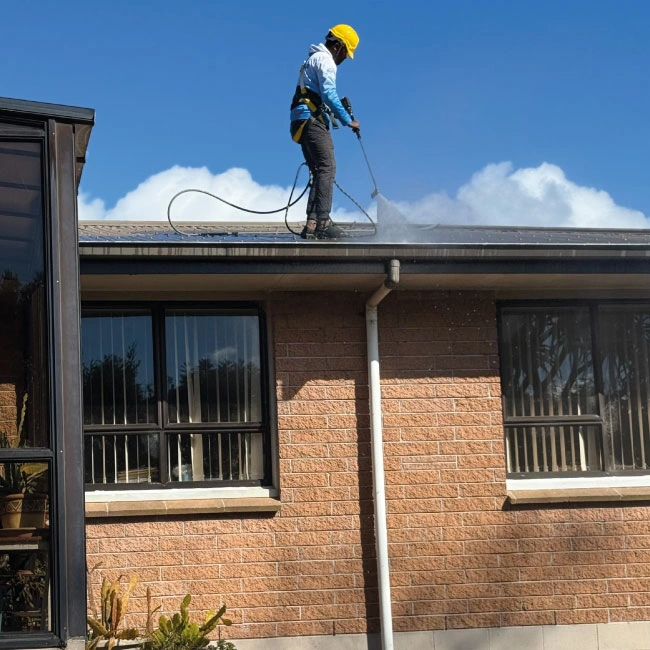 Roof Wash & Moss Treatment